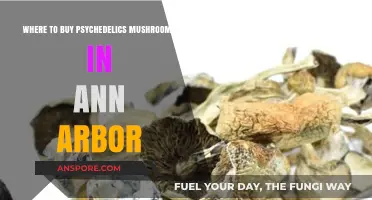 Finding Psychedelic Mushrooms in Ann Arbor: A Comprehensive Guide