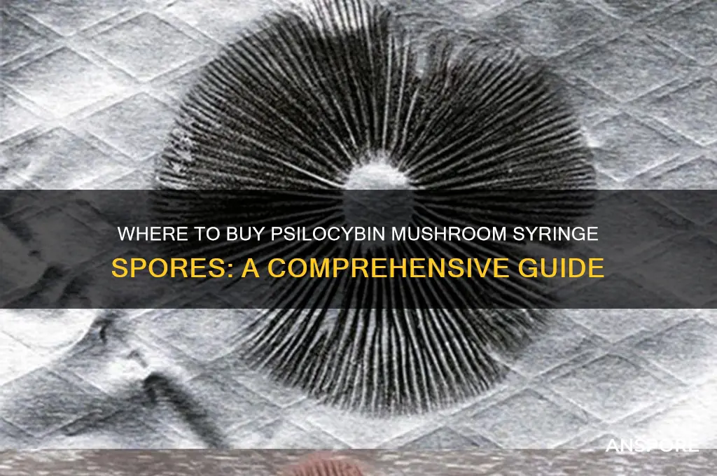 where to buy psylocibin mushroom syringe spores
