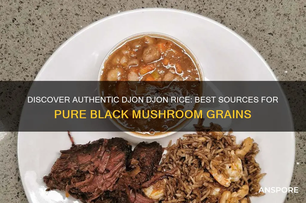 where to buy pure black mushroom djon djon rice