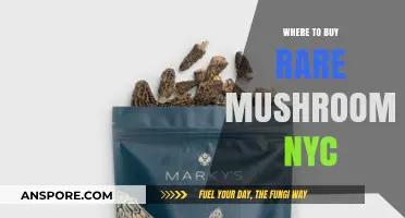 Discover NYC's Hidden Gems: Where to Buy Rare Mushrooms in the City
