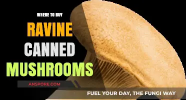 Discover the Best Places to Buy Ravine Canned Mushrooms