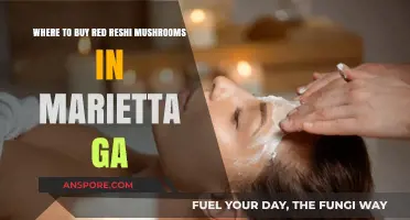 Discover Top Spots to Buy Red Reishi Mushrooms in Marietta, GA