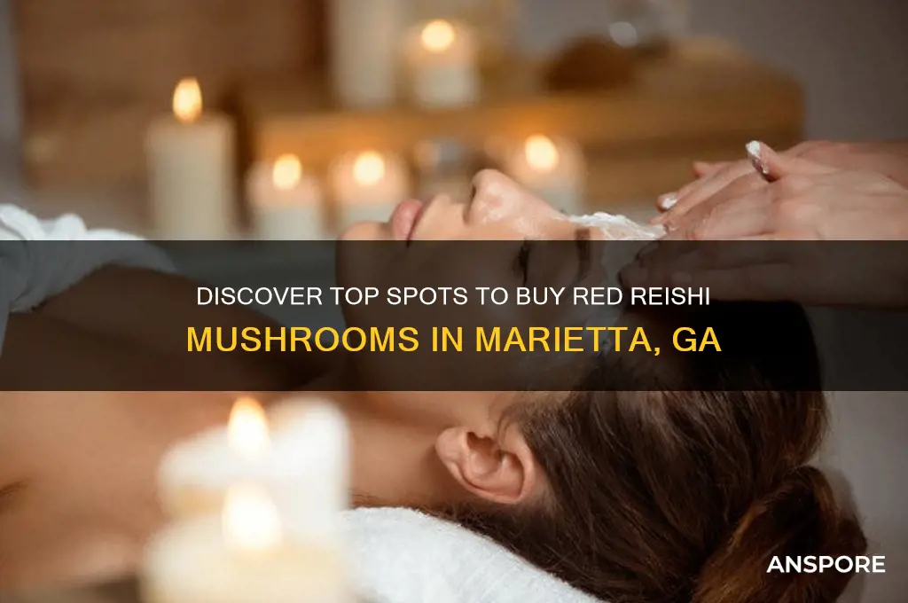 where to buy red reshi mushrooms in marietta ga