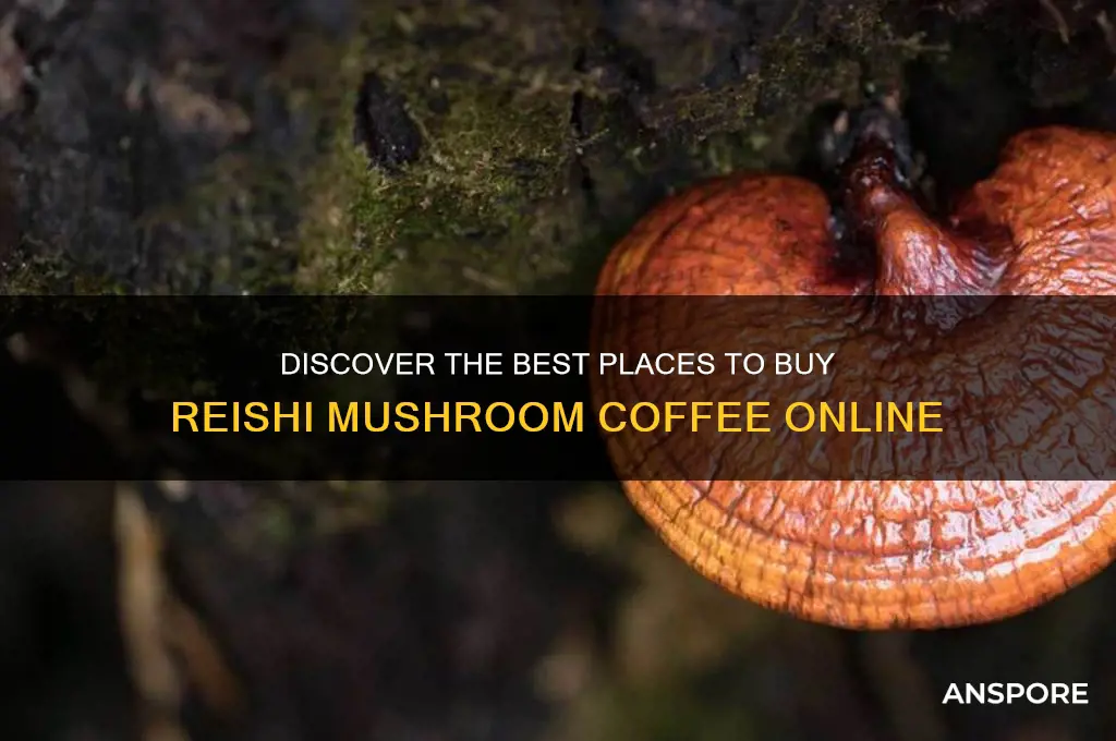 where to buy reishi mushroom coffee