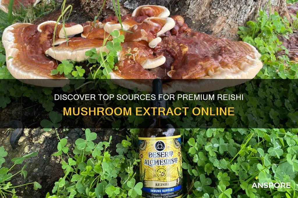 where to buy reishi mushroom extract