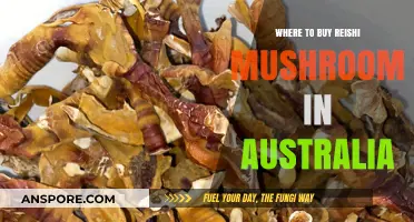 Best Places to Buy Reishi Mushroom in Australia: A Comprehensive Guide