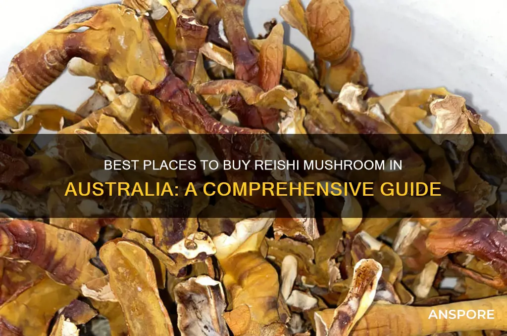 where to buy reishi mushroom in australia