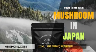 Discover Japan's Best Reishi Mushroom Retailers and Local Sources