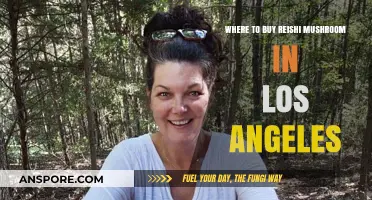 Discover Top Spots to Buy Reishi Mushroom in Los Angeles