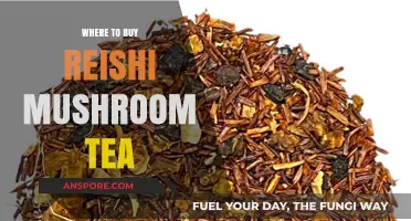 Discover the Best Places to Buy Reishi Mushroom Tea Online