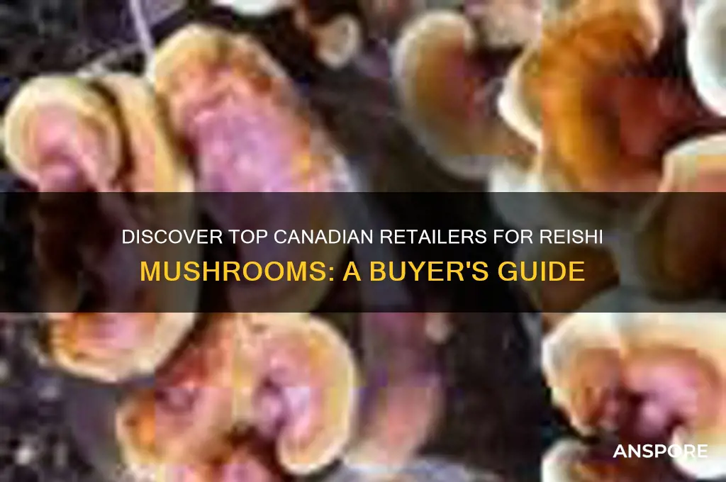 where to buy reishi mushrooms in canada