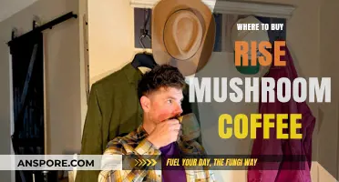 Discover the Best Places to Buy Rise Mushroom Coffee Today