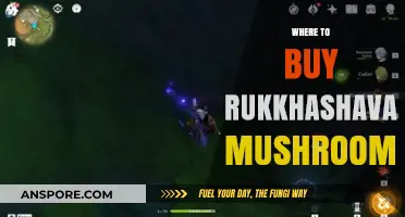 Discover the Best Sources to Buy Rukkhashava Mushrooms Online