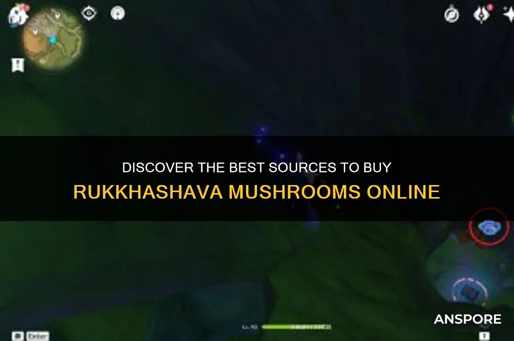 where to buy rukkhashava mushrooms