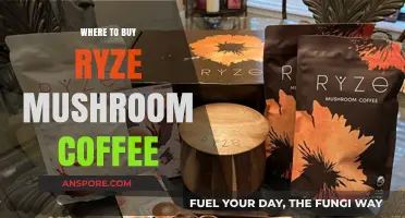 Discover the Best Places to Buy Ryze Mushroom Coffee Online