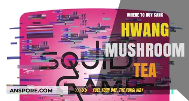Discover the Best Places to Buy Sang Hwang Mushroom Tea
