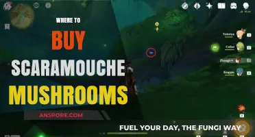 Discover the Best Places to Buy Scaramouche Mushrooms Online