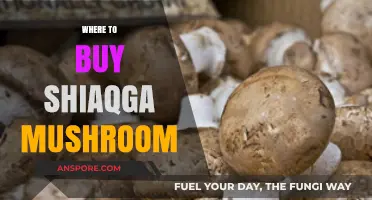 Discover the Best Places to Buy Shiaqga Mushrooms Online and Locally