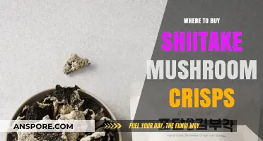 Discover the Best Places to Buy Shiitake Mushroom Crisps