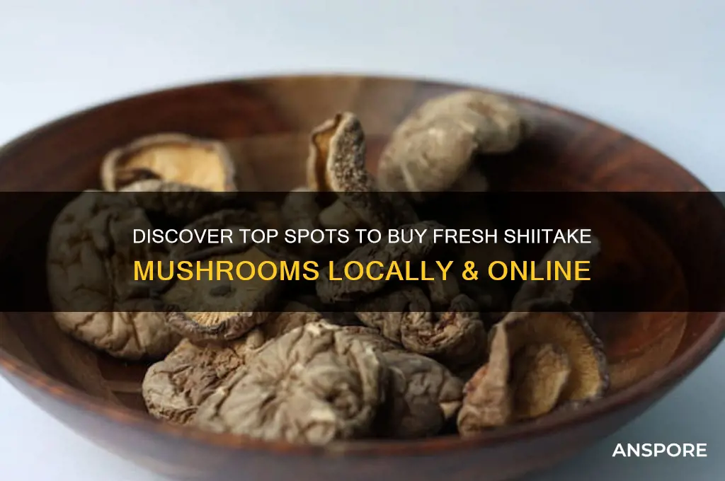 where to buy shitake mushrooms