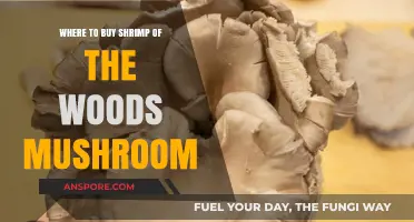 Discover the Best Places to Buy Shrimp of the Woods Mushrooms