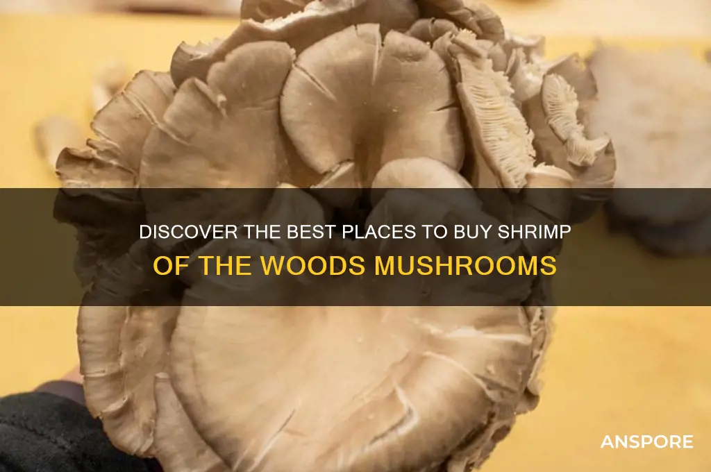 where to buy shrimp of the woods mushroom