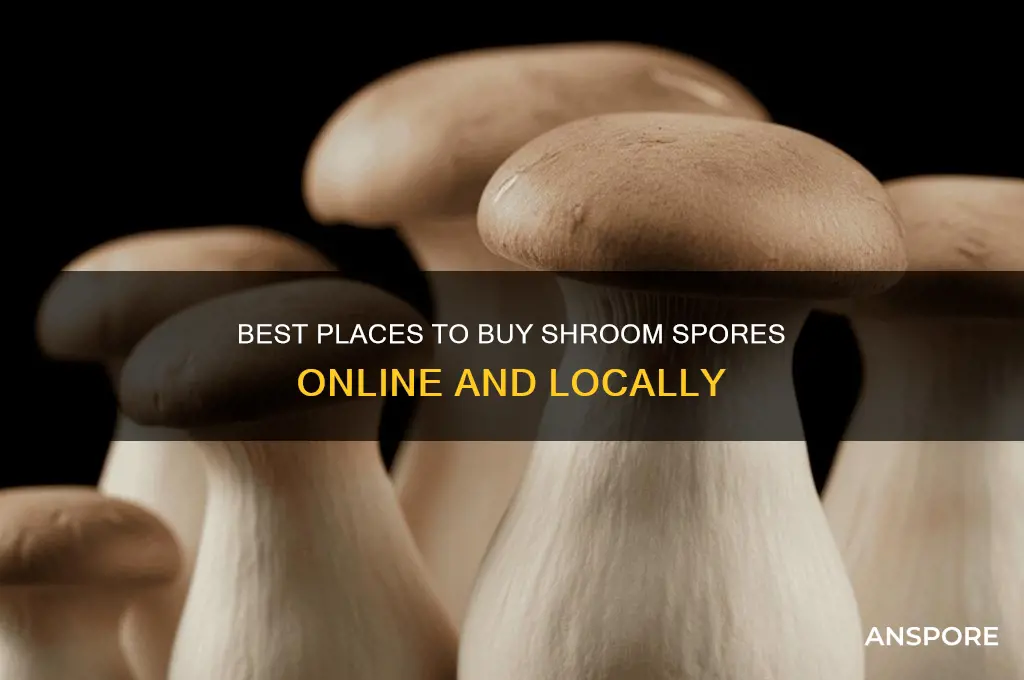 where to buy shroom spores