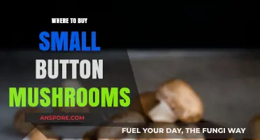 Best Places to Buy Fresh Small Button Mushrooms Locally & Online