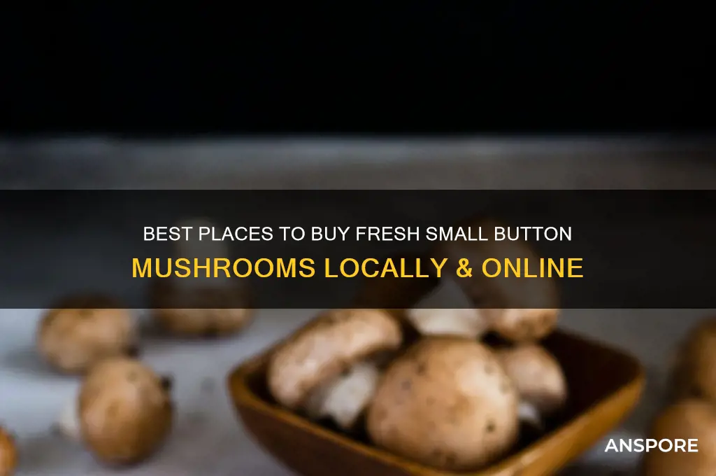 where to buy small button mushrooms