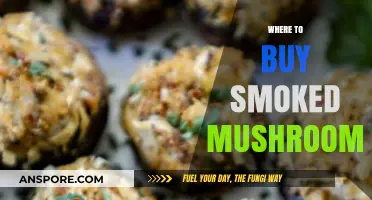 Discover the Best Places to Buy Smoked Mushrooms Online & Locally