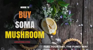 Discover the Best Places to Buy Soma Mushrooms Online