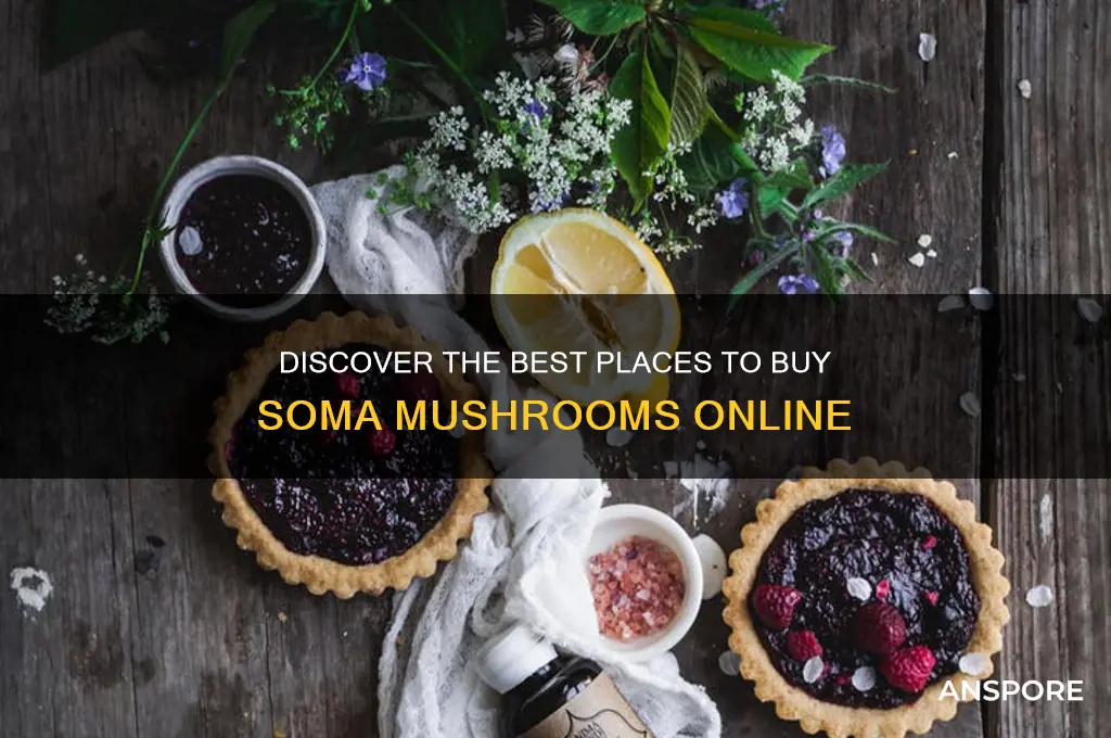 where to buy soma mushroom