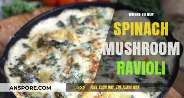 Discover the Best Places to Buy Spinach Mushroom Ravioli