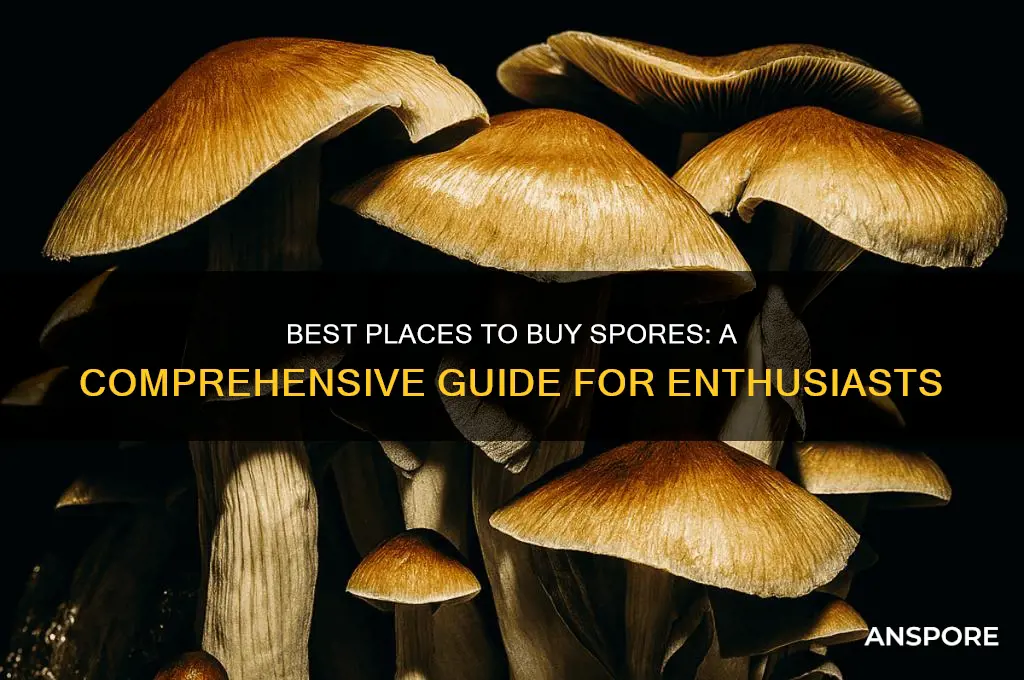 where to buy spores