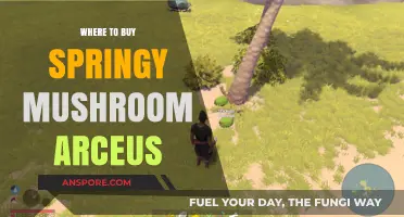 Discover the Best Places to Buy Springy Mushroom Arceus
