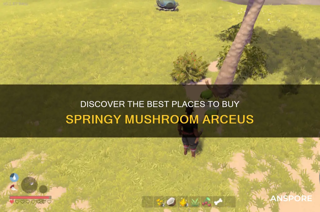 where to buy springy mushroom arceus