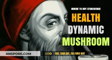 Discover Top Retailers for Stonehenge Health Dynamic Mushrooms Today