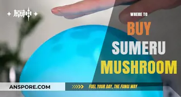 Discover the Best Places to Buy Sumeru Mushrooms Online and Locally