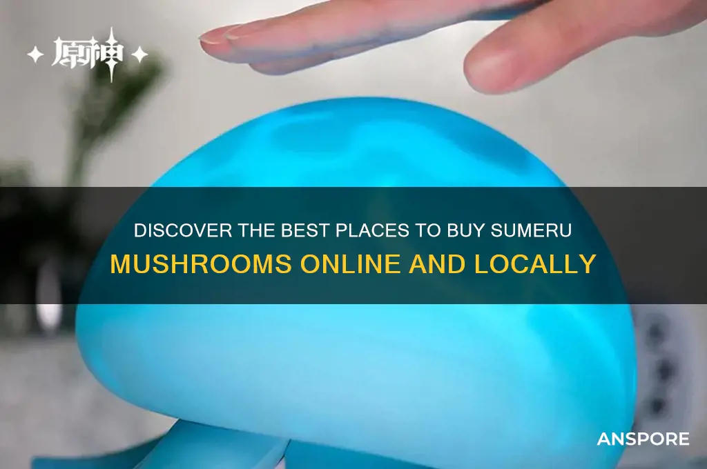 where to buy sumeru mushrooms