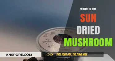 Discover the Best Places to Buy Sun-Dried Mushrooms Online & Locally