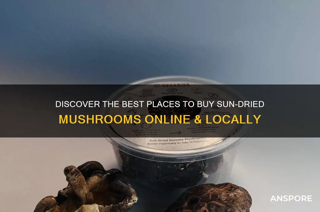 where to buy sun dried mushrooms