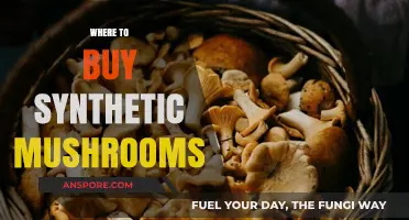 Discover Top Retailers for Synthetic Mushrooms: A Comprehensive Guide