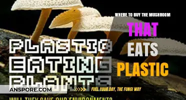 Discover Eco-Friendly Solutions: Where to Buy Plastic-Eating Mushrooms