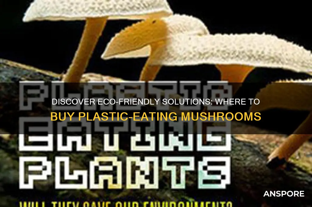 where to buy the mushroom that eats plastic