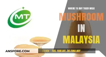Discover Tiger Milk Mushroom: Top Malaysian Retailers and Online Stores