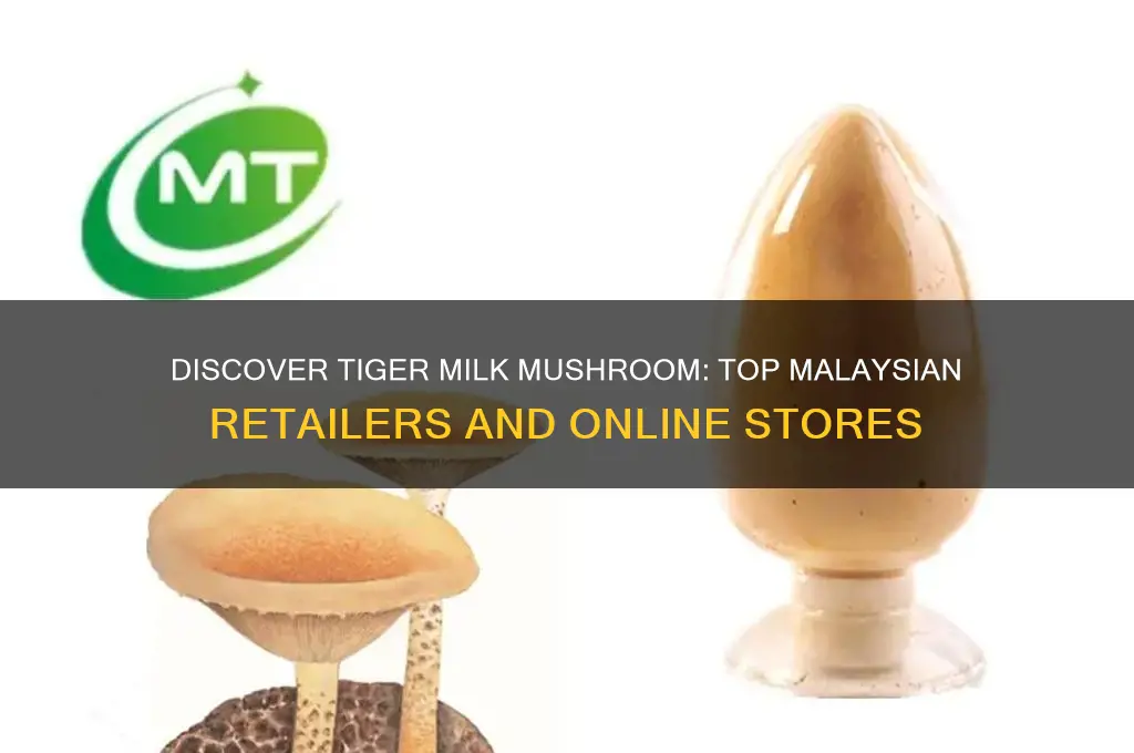 where to buy tiger milk mushroom in malaysia