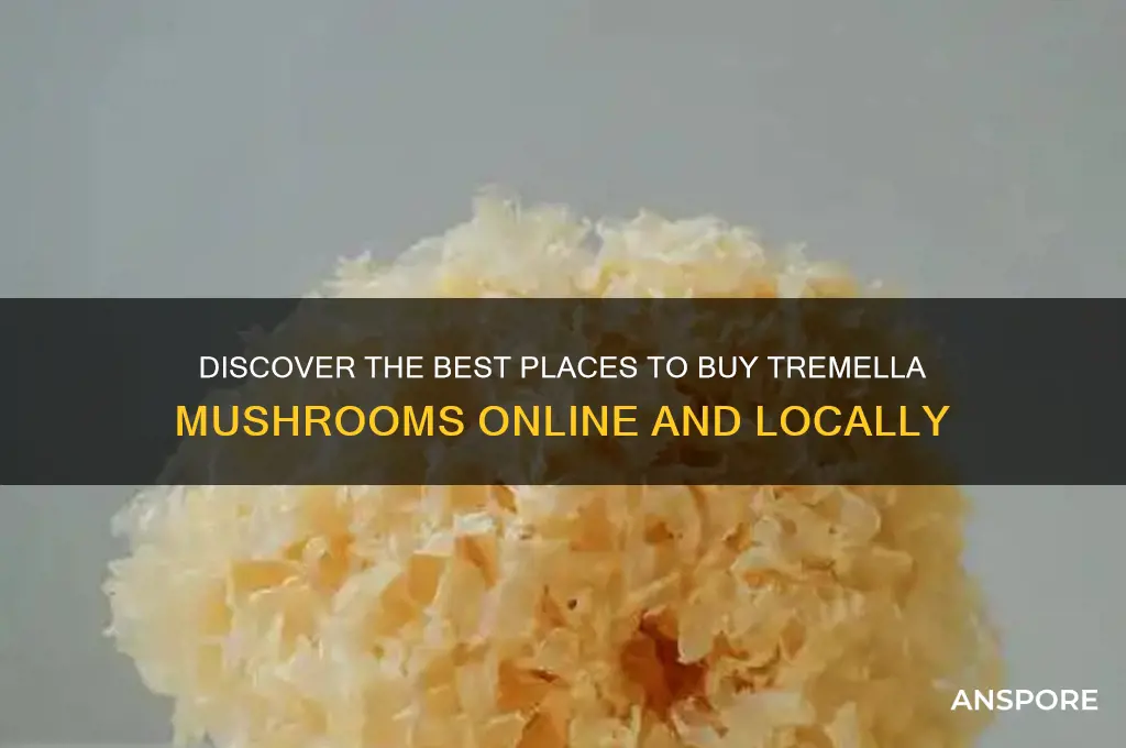 where to buy tremella mushrooms
