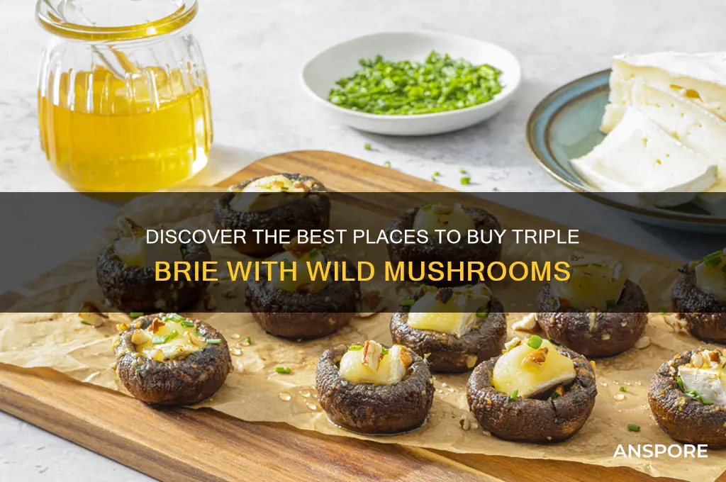 where to buy triple brie with wild mushrooms