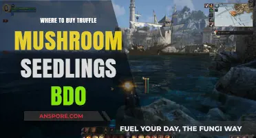 Best Places to Buy Truffle Mushroom Seedlings for BDO Farming