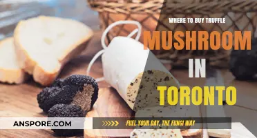 Discover Toronto's Best Spots to Buy Fresh Truffle Mushrooms